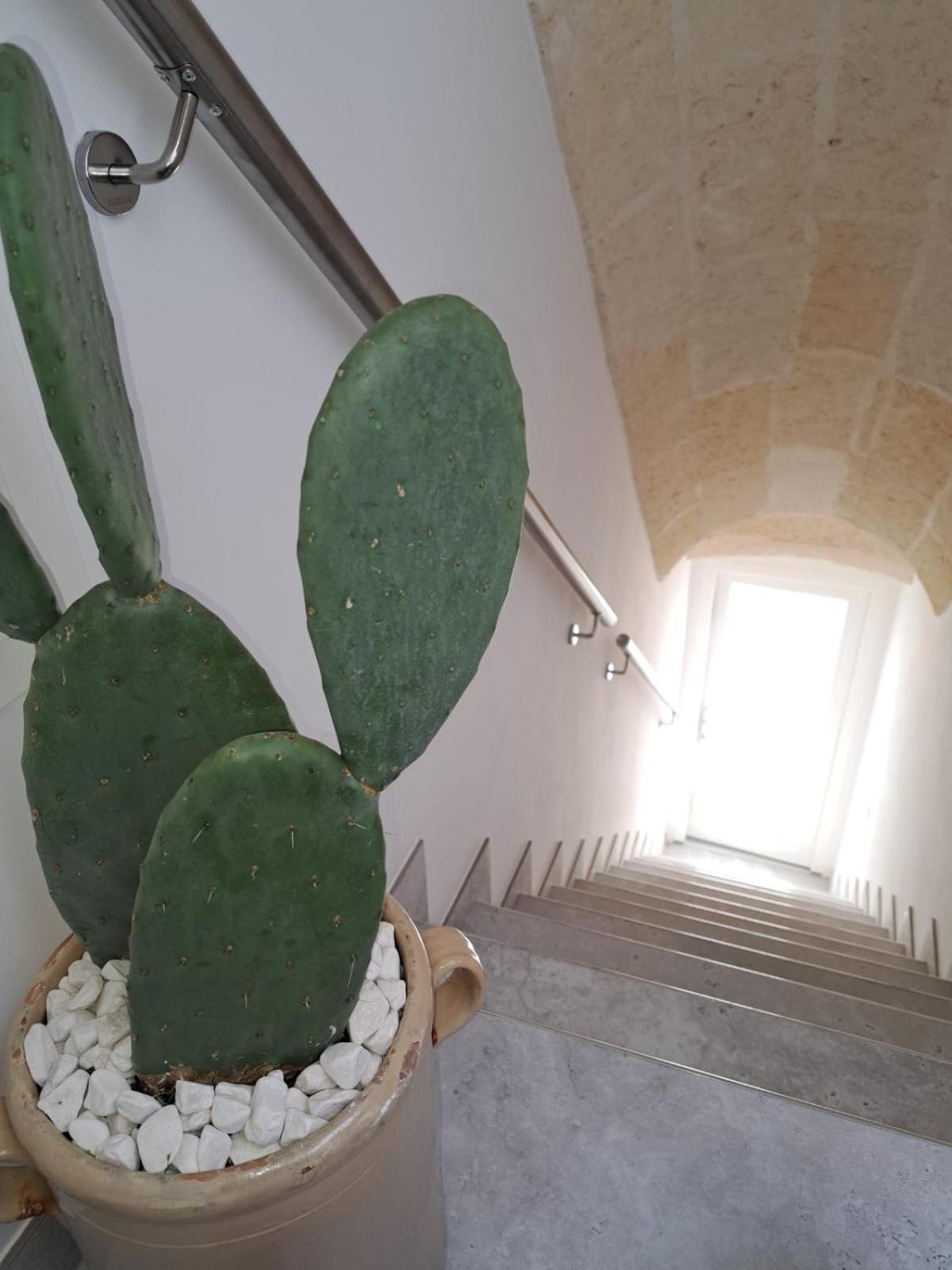Mae Apulian Rooms 格罗塔列 外观 照片
